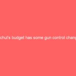 Hochul’s budget has some gun control changes