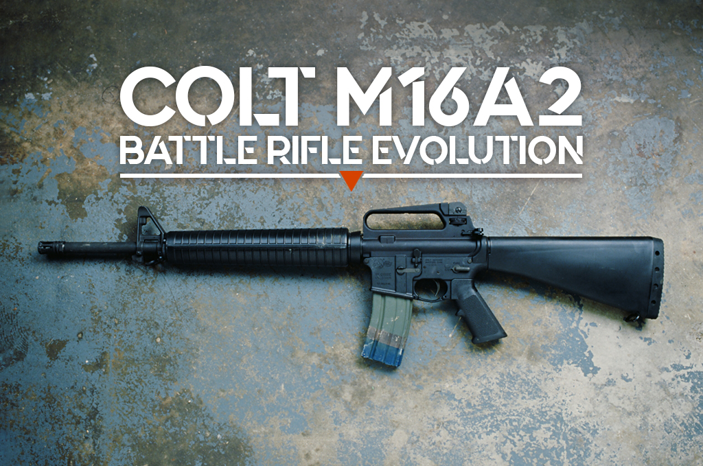 Grit, Grain & Steel: Vintage Rifles + Film Cameras